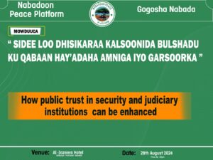 Nabadoon Peace Platform successfully mediated and resolved over 